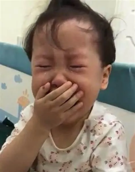 Meme mèo mất ngủ siêu dễ thương, làm bạn phải bật cười ngay.