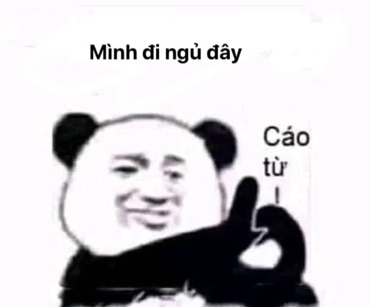 Meme ngủ ngon mèo cực kỳ đáng yêu, khiến bạn muốn chúc mèo ngủ ngon.