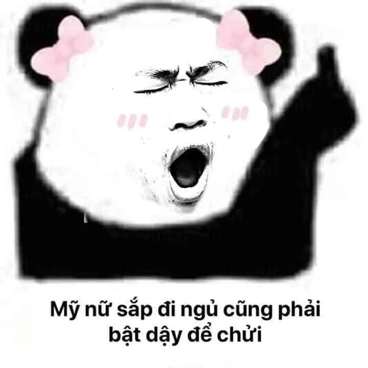 Ngủ ngon meme mèo dễ thương, khiến bạn muốn chúc mèo ngủ ngon.
