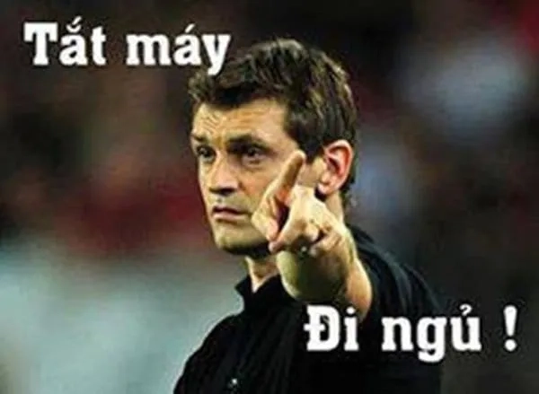 Meme mèo nằm ngủ cực kỳ dễ thương, khiến bạn muốn ôm ngay.