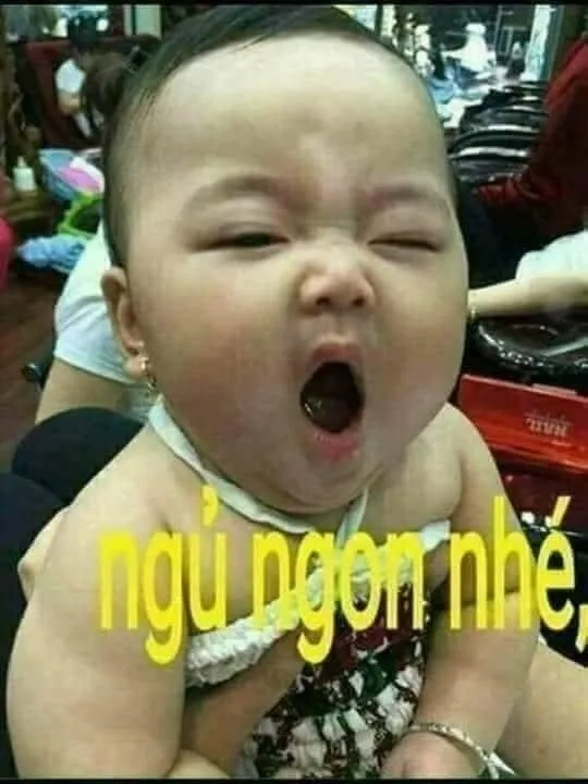 Meme ngủ cute cực kỳ đáng yêu, ai cũng muốn ngủ cùng.