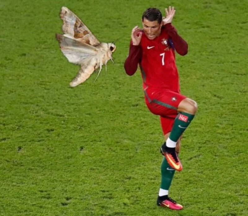 Meme ronaldo siu là tâm điểm chú ý của fan bóng đá.