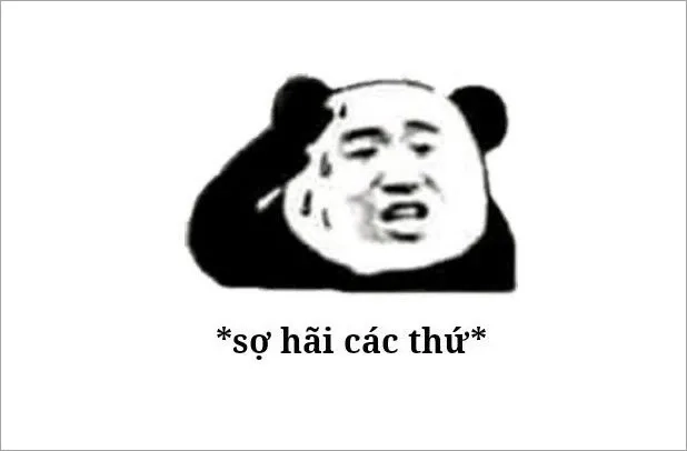 Xem ngay ảnh sợ hãi meme này để thư giãn nhé!