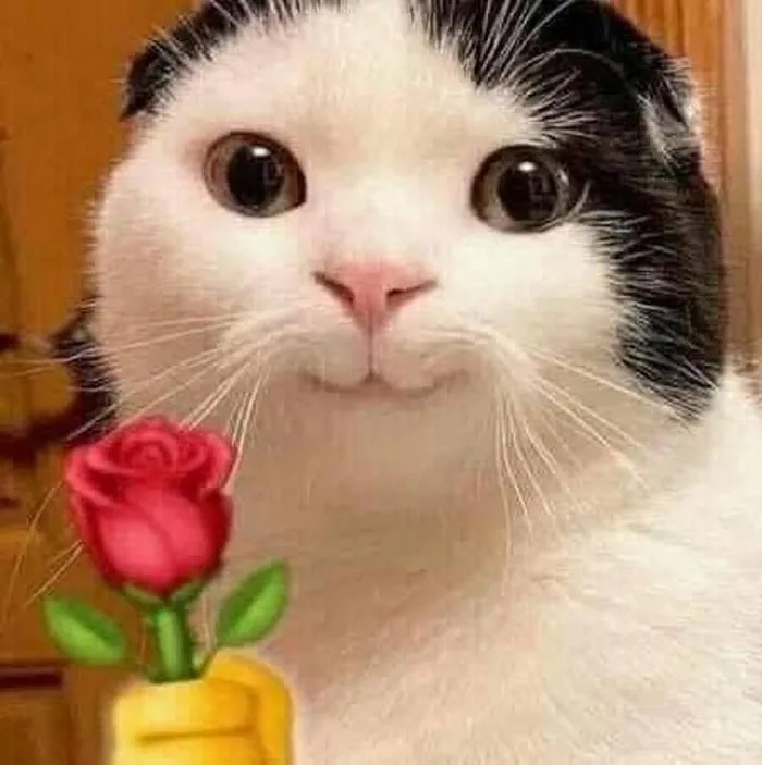 Meme tặng hoa 20-10 là món quà ngọt ngào để thể hiện lòng tri ân.