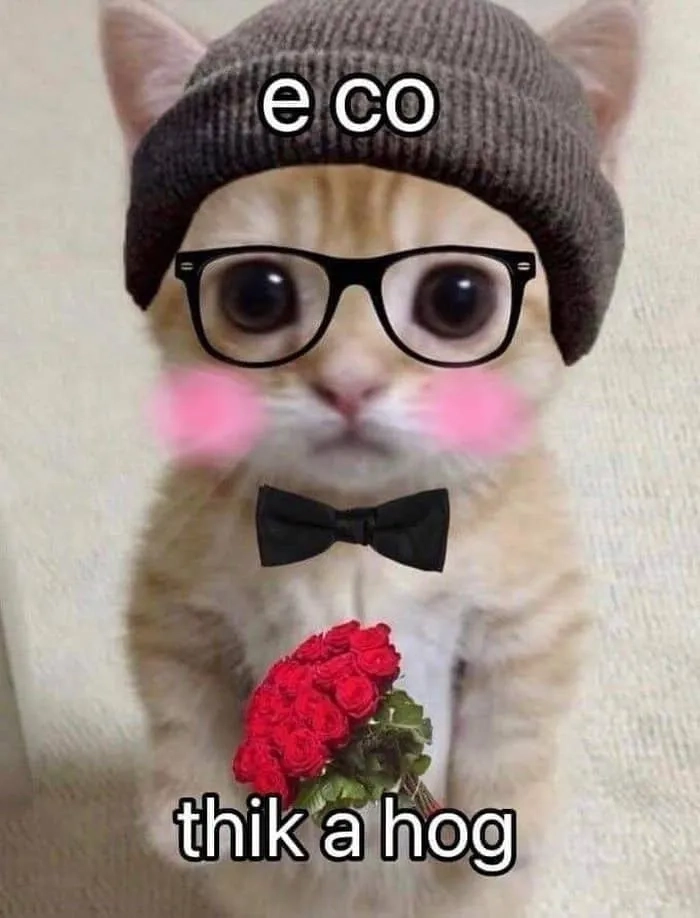 Meme tặng hoa 8 3 dành riêng cho ngày Quốc tế Phụ nữ, ngọt ngào và ấm áp.