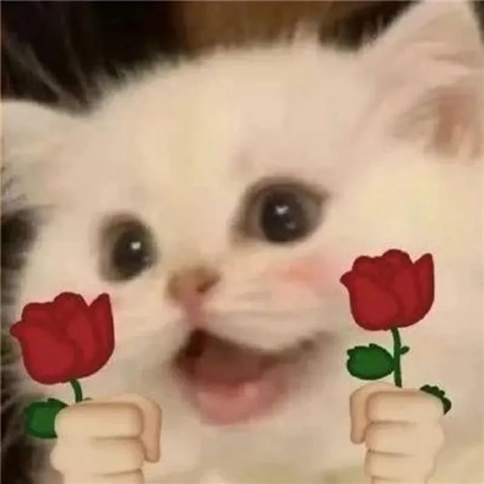 Meme tặng hoa 8/3 là món quà ý nghĩa trong ngày Quốc tế Phụ nữ.