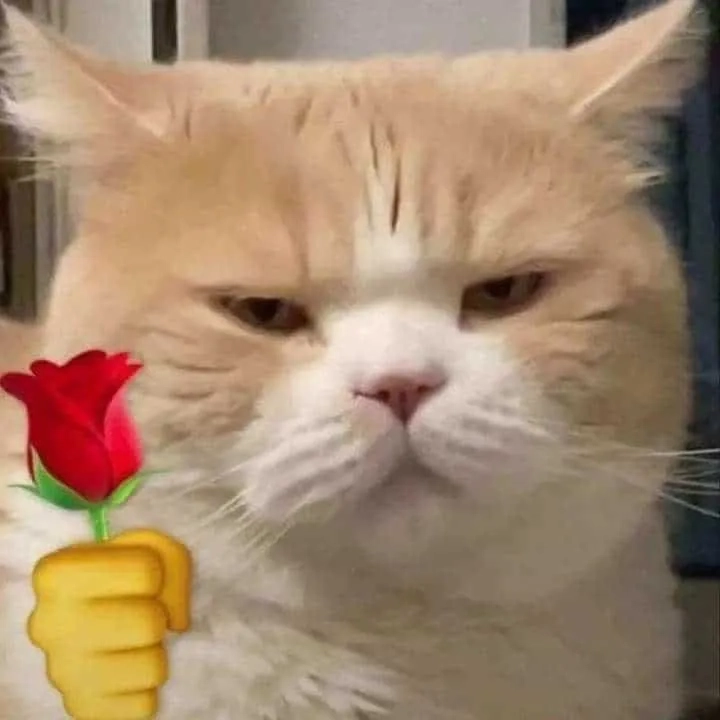 Meme tặng tim ngọt ngào thể hiện tình cảm chân thành, đáng yêu.