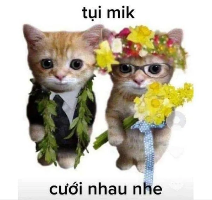 Meme nhẫn kim cương là món quà tình yêu tinh tế và sang trọng.