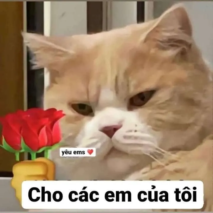Meme Cheems tặng hoa truyền tải sự dễ thương và tình cảm đáng yêu.
