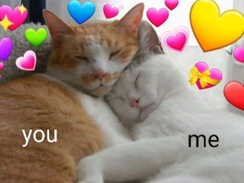 Hài hước và dễ thương với hình meme trái tim, không thể bỏ qua.