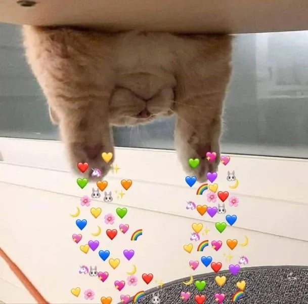 Biểu tượng đáng yêu với ảnh meme trái tim làm tan chảy mọi ánh nhìn.