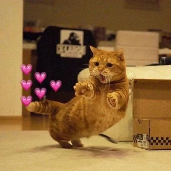 Thể hiện sự yêu thương với meme tặng trái tim siêu dễ thương.