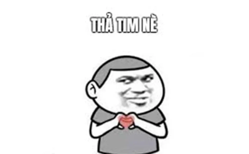 Đáng yêu và ý nghĩa với hình trái tim cute meme mèo tặng hoa.