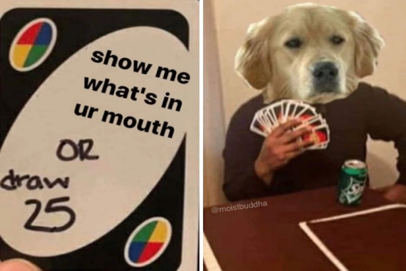 Những lá bài meme uno cực chất, mang đến tiếng cười bất tận.