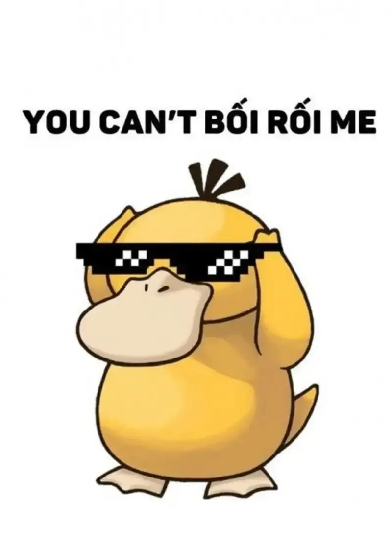 Meme hình con vịt hài hước khiến ai cũng bật cười thả ga.