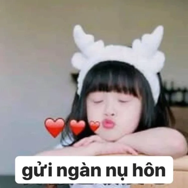 Meme mèo hun dễ thương, truyền tải tình yêu ngọt ngào đến mọi người.