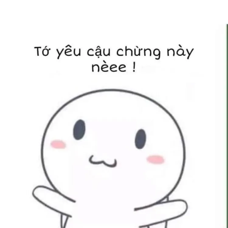 Meme mèo thả tim, gửi gắm tình cảm đến người yêu thật dễ thương!