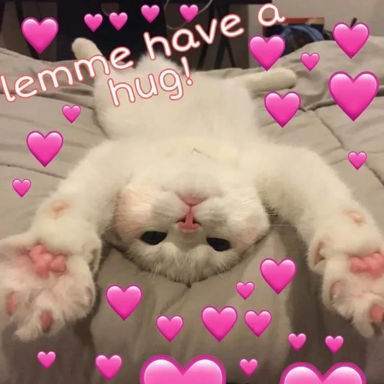 Meme tình bạn, mang lại những khoảnh khắc vui nhộn cùng những người bạn thân.