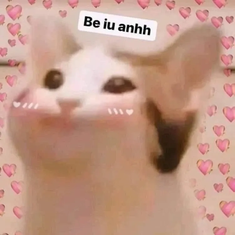 Meme đừng buồn nữa, hãy vui lên và tận hưởng niềm vui cuộc sống.