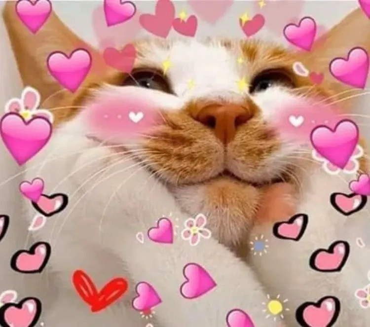Meme buồn, thể hiện cảm xúc trong những lúc khó khăn và suy tư.