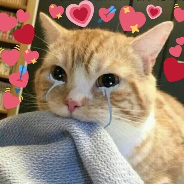 Meme nhớ người yêu, gửi gắm tình cảm khi không thể gặp nhau.