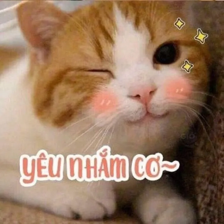 Meme gấu trúc yêu, biểu tượng tình yêu ngọt ngào, dễ thương.