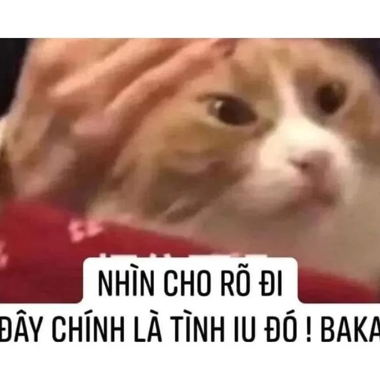 Meme 