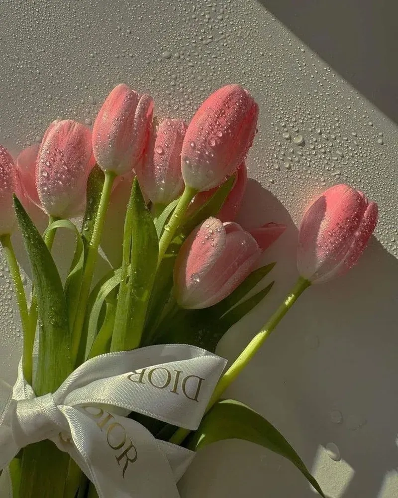 Khám phá ý tưởng độc đáo qua ảnh hoa tulip pinterest sáng tạo