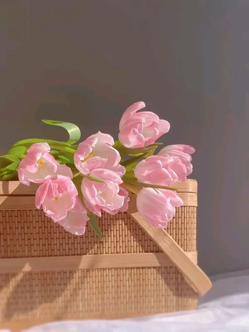 Tuyển chọn ảnh hoa tulip hình nền đẹp lung linh miễn phí