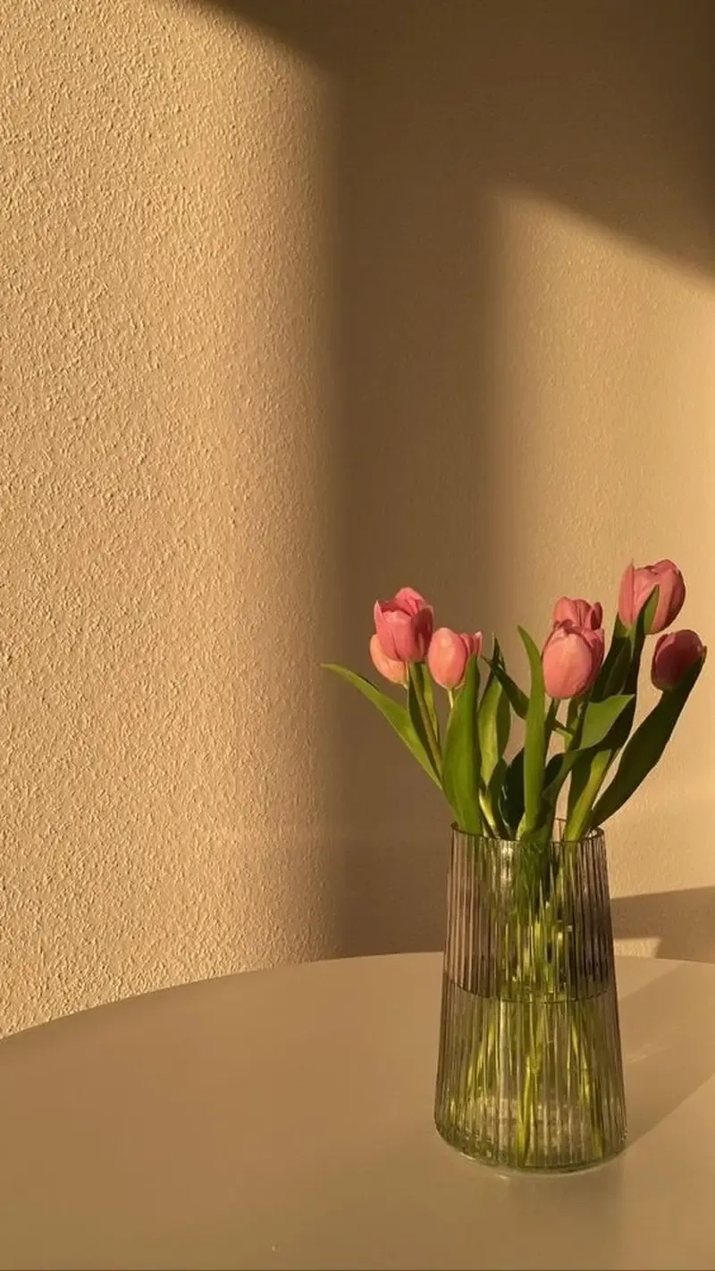 Dễ dàng tải ảnh hoa tulip đẹp nhất miễn phí cực đẹp
