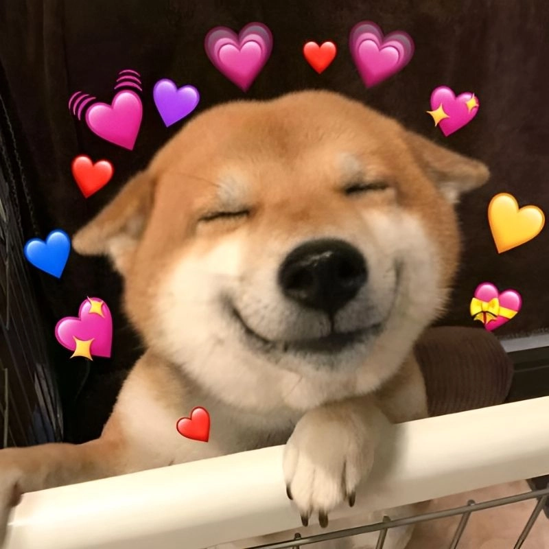 Meme hài hước bựa siêu bá đạo tạo sóng cười bất tận cho dân mạng