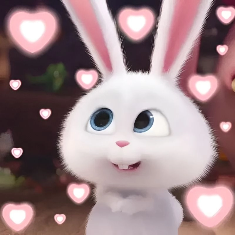 Cute avatar meme hài siêu xinh siêu lầy khiến bạn nổi bật giữa đám đông