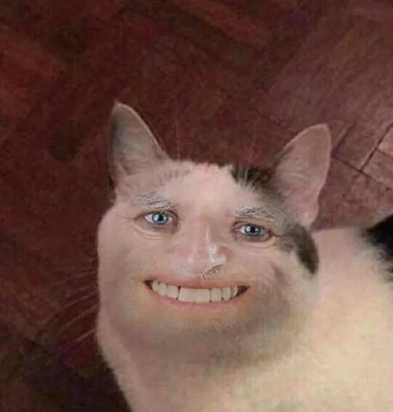 Vui hết nấc với bộ sưu tập meme mèo cười haha hài hước chất lừ