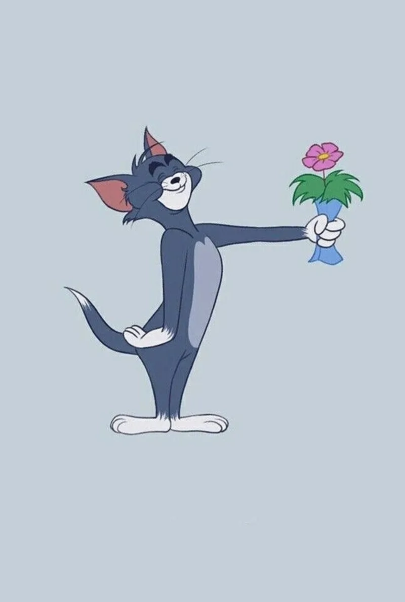 Xem ngay mèo tom meme biểu cảm lầy lội khiến ai cũng thích