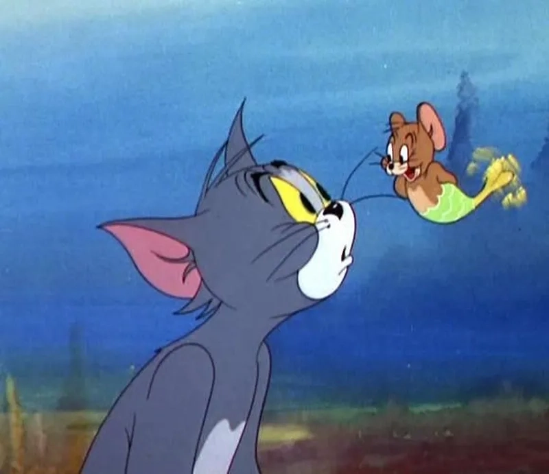 Khám phá tom jerry meme bá đạo khiến ai cũng phì cười