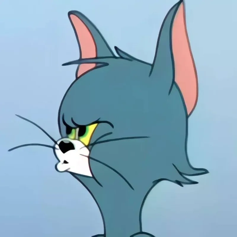 Thư giãn cùng ảnh mèo tom meme ngộ nghĩnh siêu đáng yêu