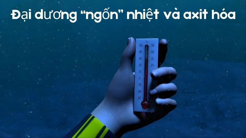 Đại dương “ngốn” nhiệt và axit hóa ở mức chưa từng thấy