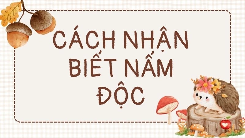 Quan sát màu sắc và hình dạng tổng thể của nấm