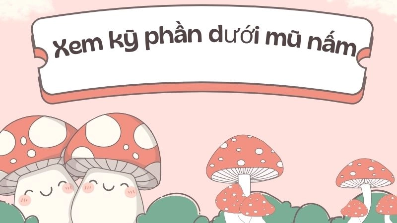 Xem kỹ phần dưới mũ nấm: mang hay lỗ?