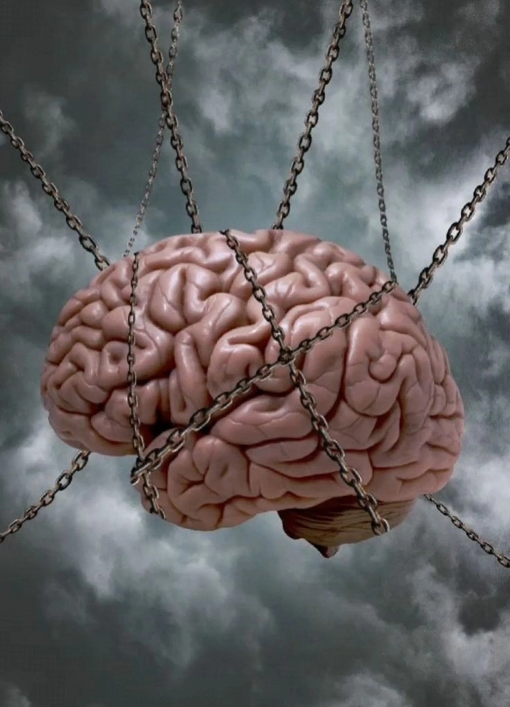 Ảnh lạ và độc tạo cảm giác mới mẻ