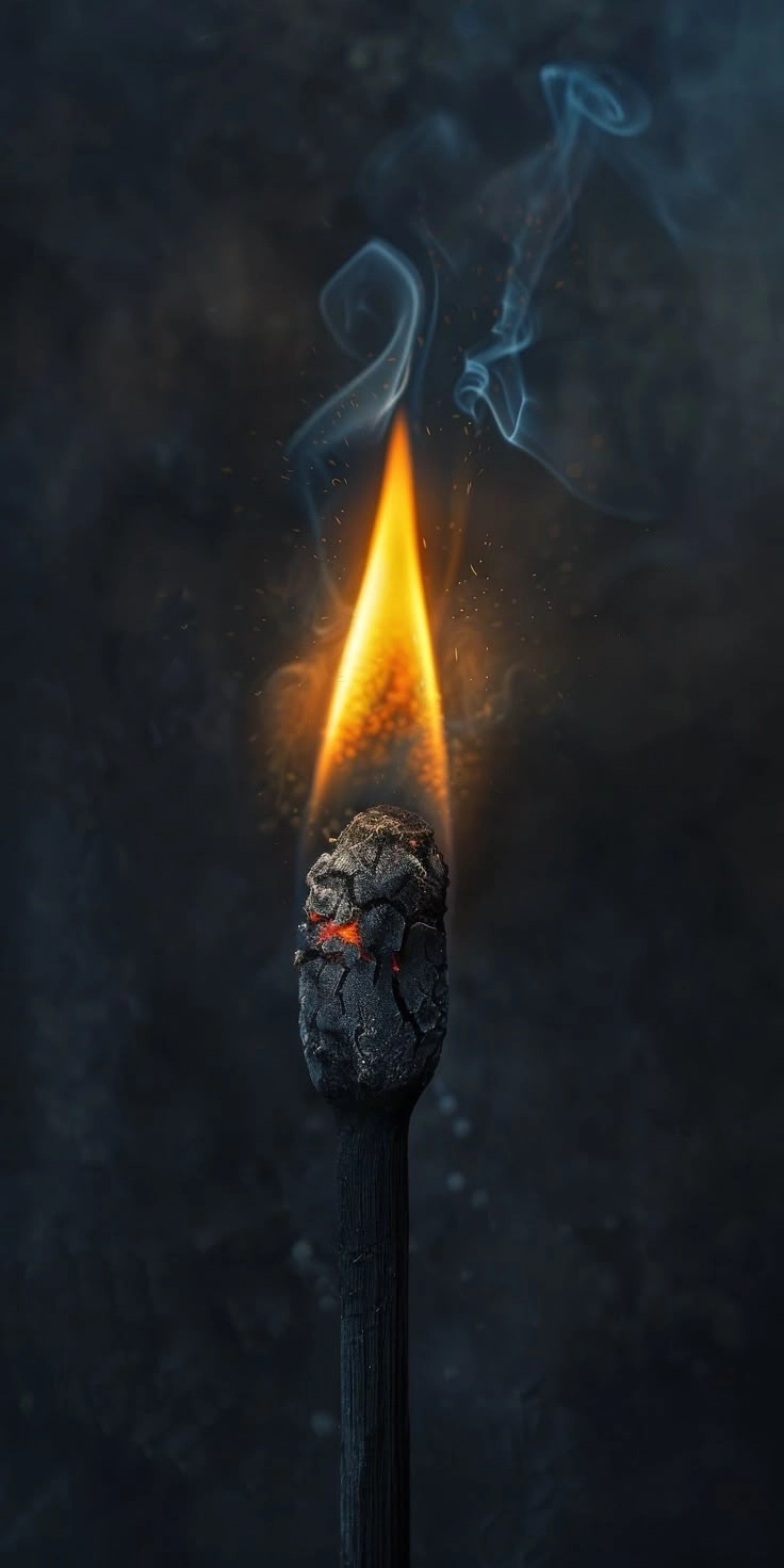 Ảnh độc đáo mang phong cách sáng tạo mới lạ