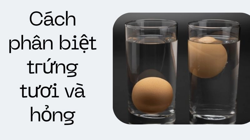 Kiểm tra độ tươi của trứng bằng cốc nước lọc