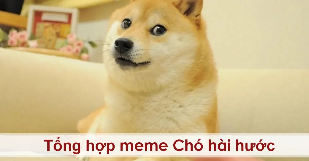Cheems memes mang phong cách hài hước dễ thương