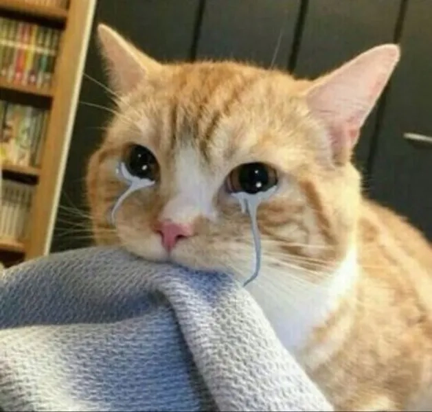 Hình chế vui nhộn phù hợp giải trí hàng ngày