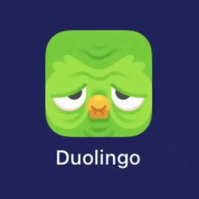 Duolingo memes mang phong cách hài hước vui nhộn