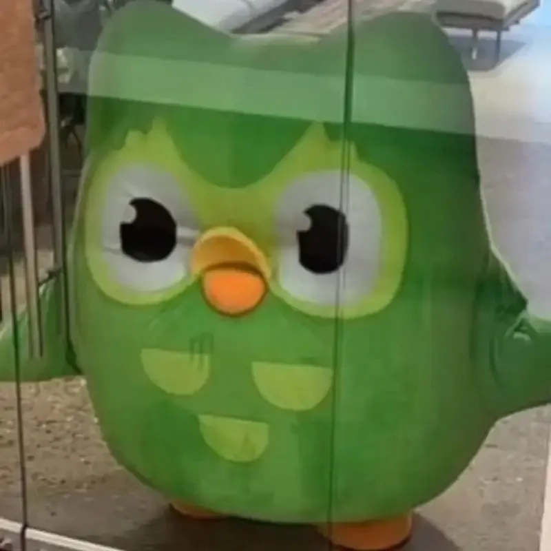 Memes duolingo tạo tiếng cười khi học ngoại ngữ