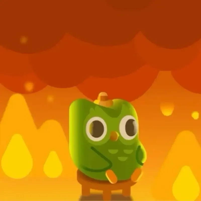 Duolingo meme tiếng việt gần gũi người xem