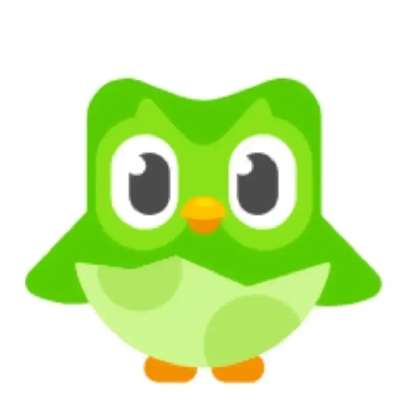 Duolingo meme vietnam được tìm kiếm nhiều