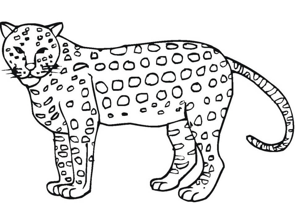 Tranh tô màu con báo giúp bé tô vẽ vui nhộn