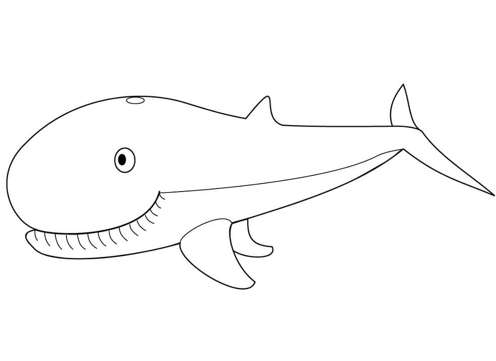 Tranh tô màu cá voi xanh sinh động cho bé